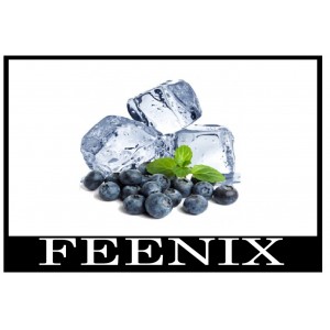 FE - Blueberry Menthol - 10ml