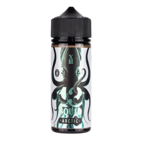 Arctic - 13 Squid 100ml